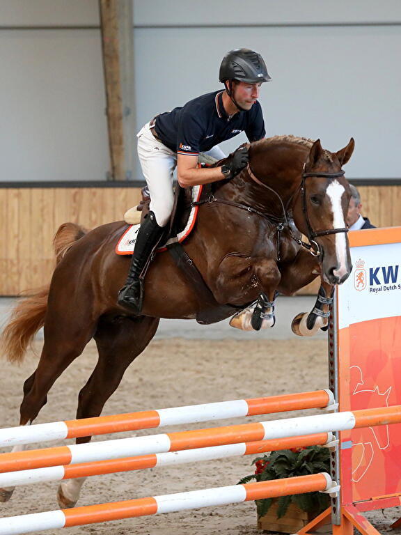 Rising Aranix Ermelo